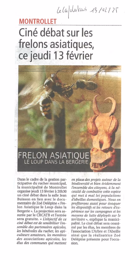 Coupure de L’Avenir Le Confolentais du 13 février 2025 : « Ciné débat sur les frelons asiatiques, ce jeudi 13 février »