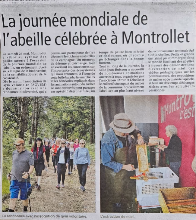Coupure de presse de juin 2025 : « La journée mondiale de l’abeille célébrée à Montrollet »