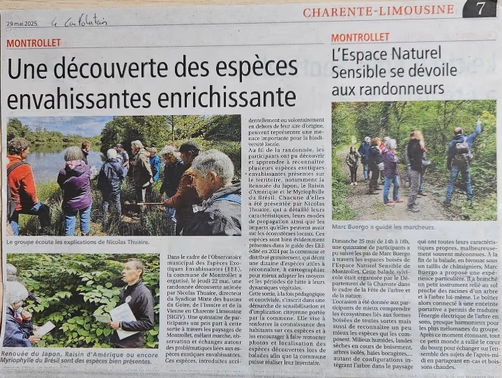 Coupure de L’Avenir Le Confolentais du 29 mai 2025 : « Une découverte des espèces envahissantes enrichissante »