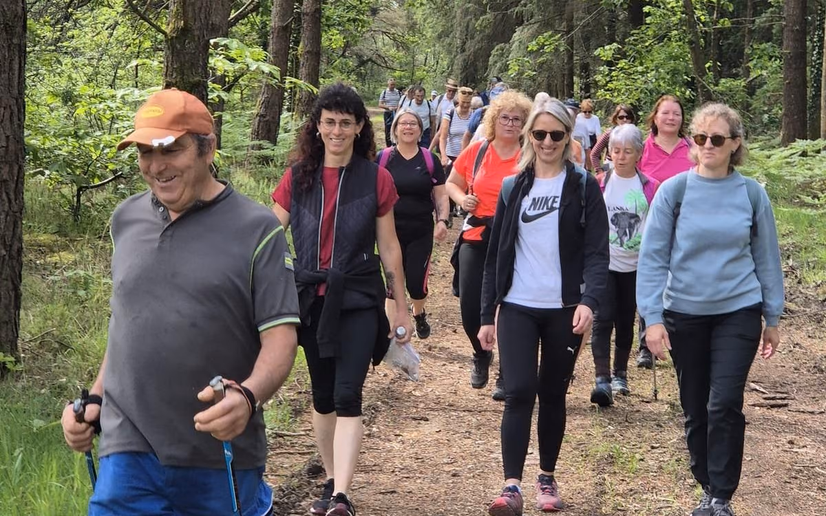 Les randonneurs de l’association de gym volontaire AGVBM sur un chemin forestier (photo Charente Libre)