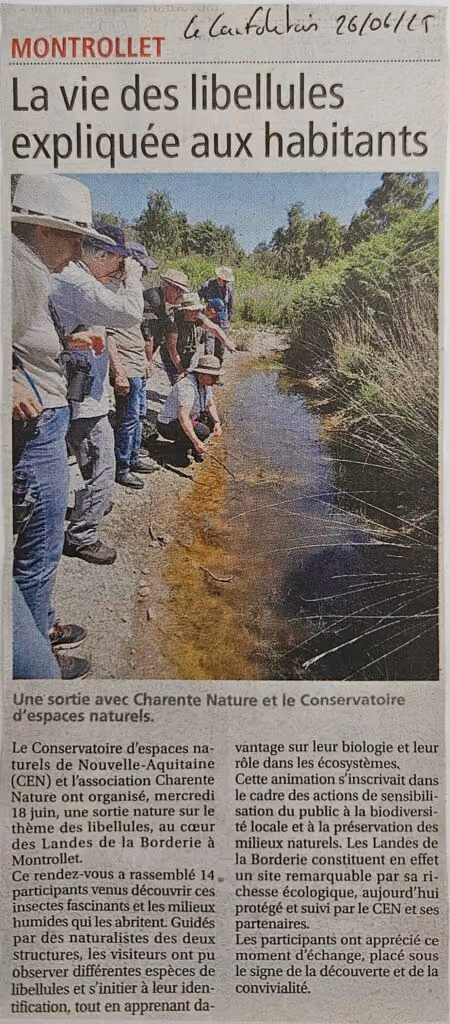 Coupure de L’Avenir Le Confolentais du 26 juin 2025 : « La vie des libellules expliquée aux habitants »