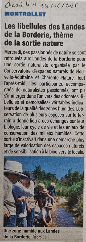 Coupure de Charente Libre du 24 juin 2025 : « Les libellules des Landes de la Borderie, thème de la sortie nature »