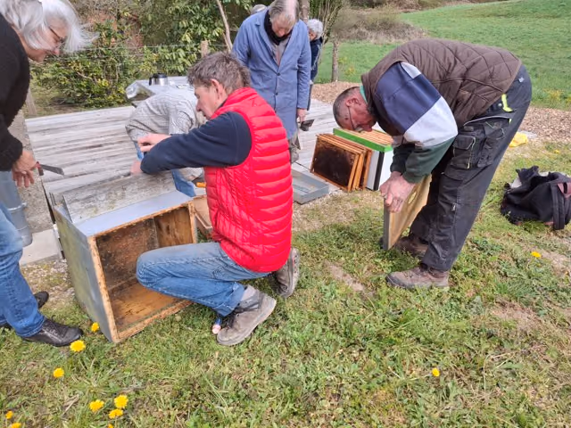 Deux bénévoles nettoient des caisses de ruches posées dans l’herbe