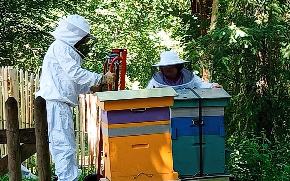 Deux apiculteurs en combinaison devant les nouvelles ruches connectées du rucher de l’Auzille (photo Annie Grandjean, Charente Libre)