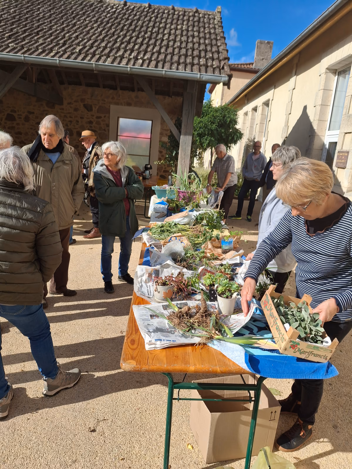 Une bénévole dépose des boutures sur la table du troc, parmi les plants enveloppés de papier journal