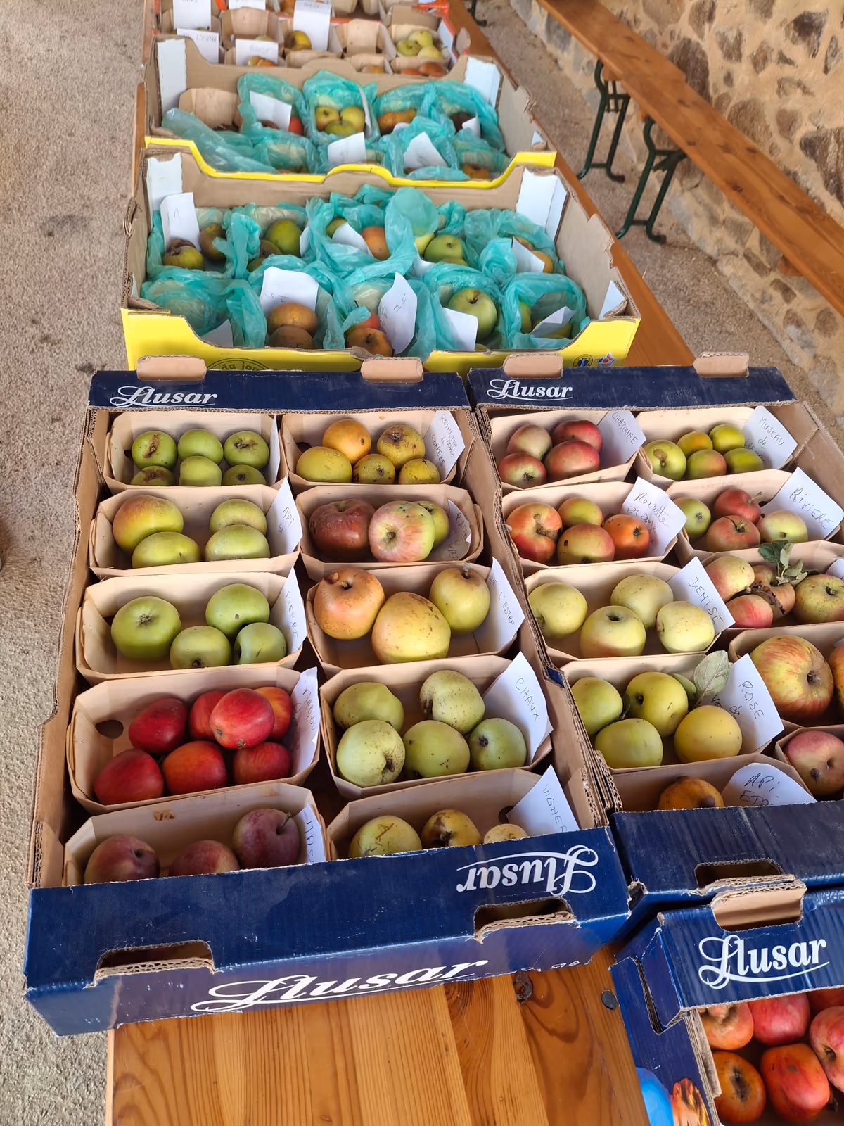 Les cagettes de pommes, poires et coings, chaque variété étiquetée à la main