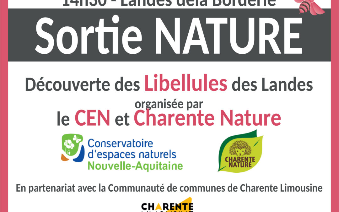 Sortie Nature