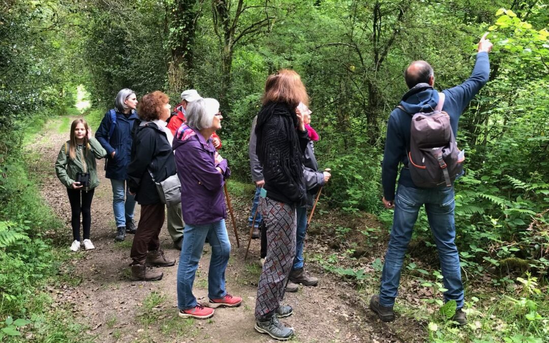 Randonnée organisée dans le cadre de la Fête de l’arbre et de la nature