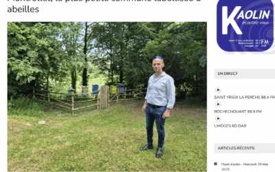 Dans la presse – 27/05/2025