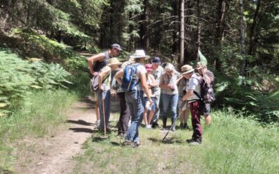 🌲Sortie Nature : Découverte des libellules des Landes de la Borderie 🌞