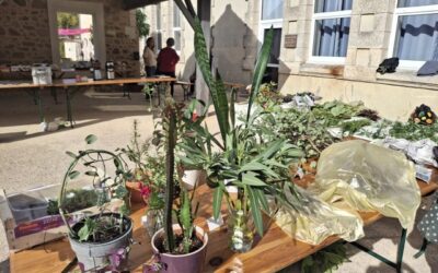 Troc aux plants