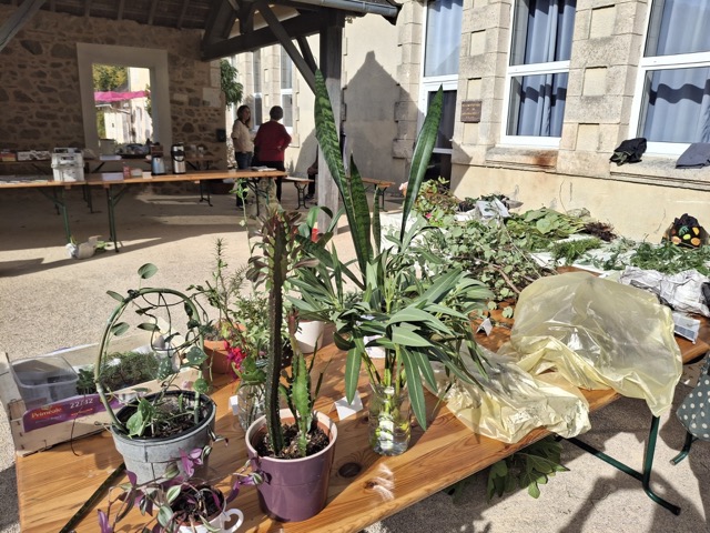 Troc aux plants