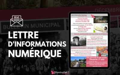 Lettre informations numérique : 20 janvier 2026