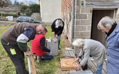 Séance peinture et nettoyage des ruches