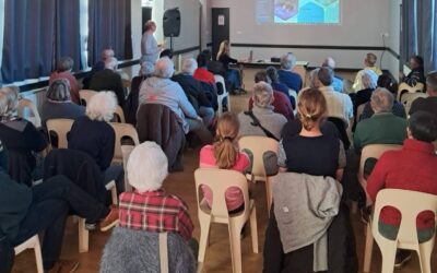 Conférence : Abeilles sauvages